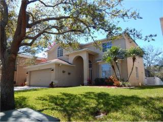 1614 Shady Oaks Dr, Oldsmar, FL 34677-2777