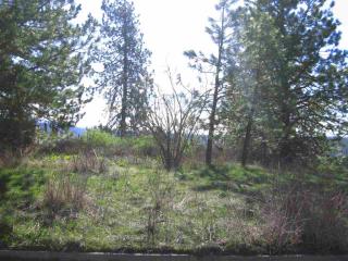 2959 22nd Ave, Spokane, WA 99224-4714