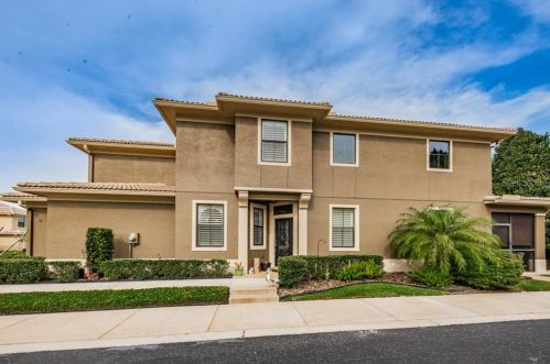 2575 Silverback Ct, Palm Harbor, FL 34684-1065