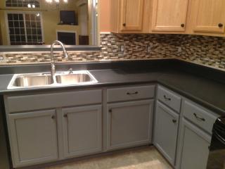 4025 Burr Oak Pl, Suffolk VA  23435-3364 exterior