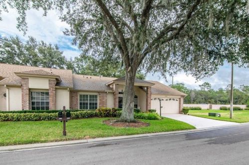 9943 Brookdale Dr, New Port Richey, FL 34655-6000