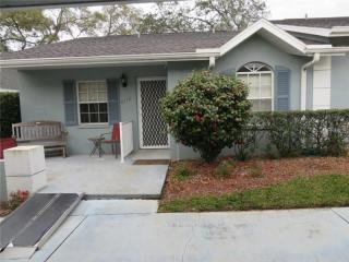 6715 Basswood Cir, Zephyrhills, FL 33542-6612