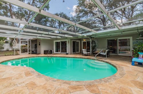 817 Highview Dr, Palm Harbor, FL 34683-6613