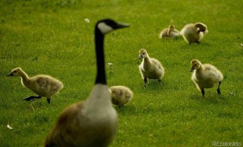 800 Franklin St, Denver CO 80205-3324 exterior