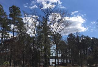 129 Summer Breeze Dr, Batesburg-Leesville, SC 29070-7008