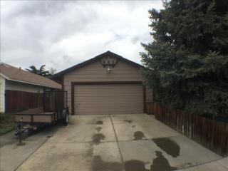 1727 Noreen Dr, Sparks, NV 89434-0771