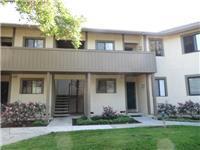 1040 Abbott Ave, Milpitas CA  95035-2920 exterior