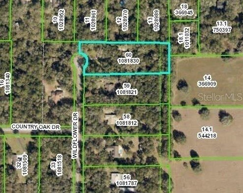 8440 Wildflower Dr, Brooksville FL  34602-5482 exterior