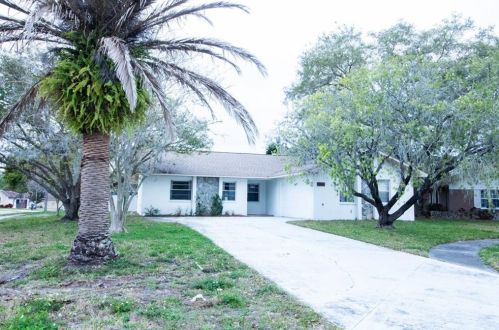 12501 Smokey Dr, Port Richey, FL 34669-2720