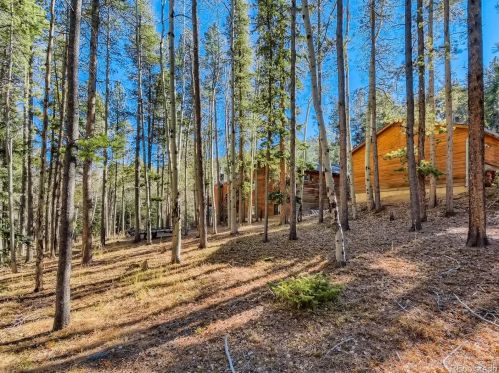 32131 Steven Way, Conifer CO  80433-8822 exterior