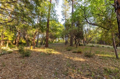 13407 Thoroughbred Loop, Grass Valley CA  95949-7691 exterior