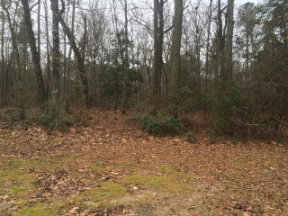 712 Lake Shore Dr, Goldsboro, NC 27534-8956