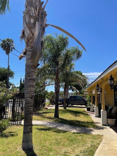 160 Carol Ln, Oakley, CA 94561-1602