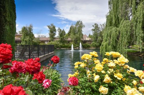 70 Fountain Grove Cir, Fairfield CA  94558-2485 exterior