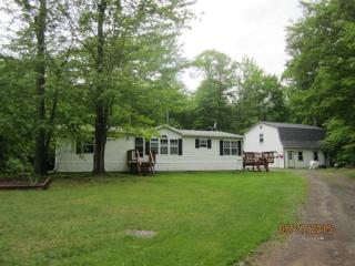 177 Burrows Rd, Youngs, NY 13849-2240