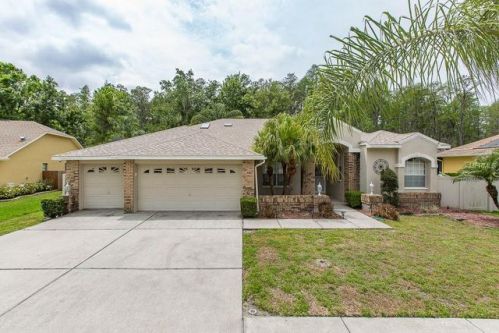 9700 Hermosillo Dr, New Port Richey, FL 34655-5208