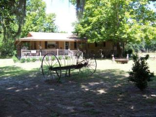 10950 27th Ct, Chiefland, FL 32626-3565