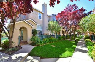 4051 Skylark Ln, Danville, CA 94506-1167