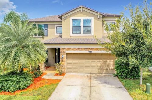 11520 Palmetto Pine St, Riverview, FL 33569-6222
