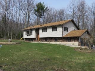 4366 Greenwood Dr, Kunkletown PA  18058-1814 exterior