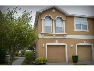 8850 Moonlit Meadows Loop, Riverview, FL 33578-8836