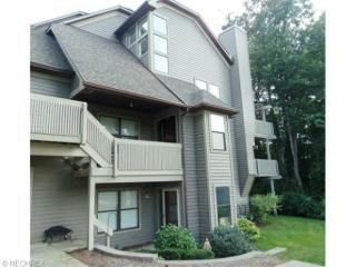 16 Harbour View Dr, Akron, OH 44319-3674