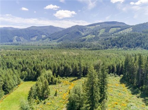 27628 State Route 706, Ashford, WA 98304