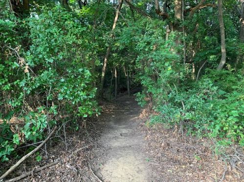 2012 Shumard Ln, Lewisville TX  75028-7621 exterior