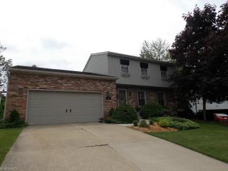 507 Tulip Trl, Wadsworth, OH 44281-1250