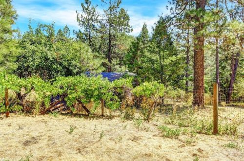 20328 Casa Loma Dr, Grass Valley CA  95945-7646 exterior