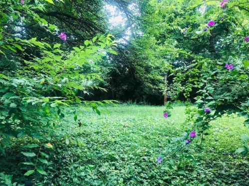 313 Highway Ave, Covington KY  41016-1628 exterior