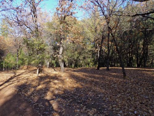 18714 Ridge Rd, Pine Grove, CA 95665-9464
