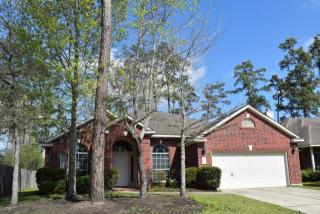 18 Silk Tree Pl, Conroe TX  77384-5041 exterior