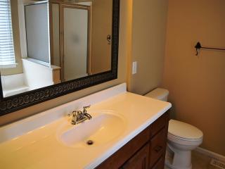 207 Riesling Way, Mauldin SC  29662-2856 exterior