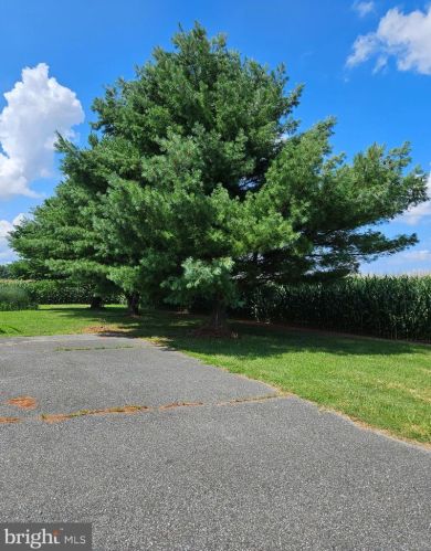 571 Mulberrie Point Rd, Frederica, DE 19946-1734
