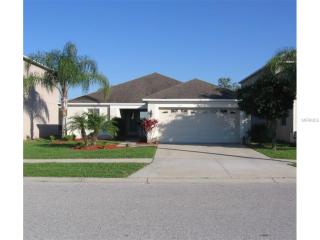 11615 Addison Chase Dr, Riverview, FL 33579-7174