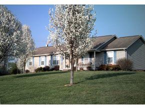 202 Bermuda Dr, Jonesborough, TN 37659-3173