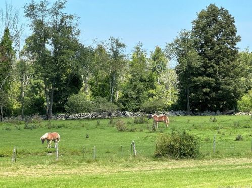 10 Surdan Mountain Rd, West Woods CT  06069-2428 exterior