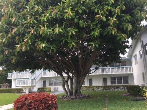 222 Camden J, West Palm Beach, FL 33417-2031