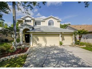 13015 Royal George Ave, Odessa, FL 33556-5714