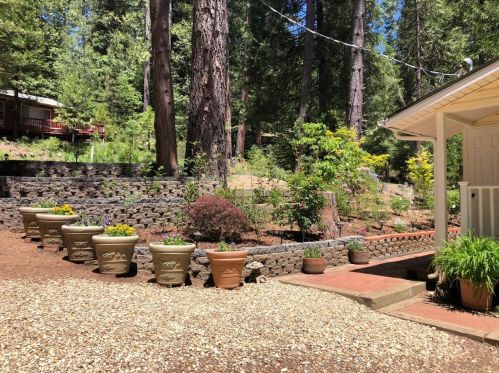 1456 Lily Valley Cir, West Point, CA