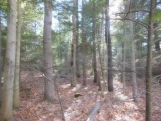 48 Pine St, Manchester, NH 03106-1302