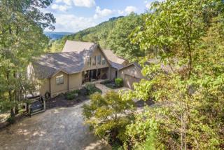 9551 Deer Haven Trl, College Dale, TN 37363-9843
