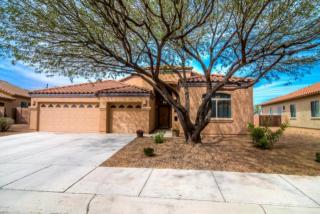 11522 Kalamansi Dr, Marana, AZ 85653-8148