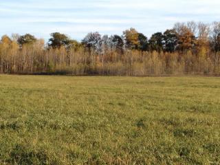 56 Salmon Run Rd, Kasoag, NY 13302-3069