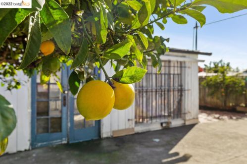 2368 Bartlett St, Oakland CA 94601-3213 exterior