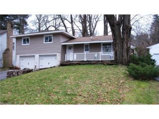 373 Mineola Ave, Akron, OH 44313-7808