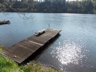 39820 Ski Park Rd, Alder, WA 98328-8371