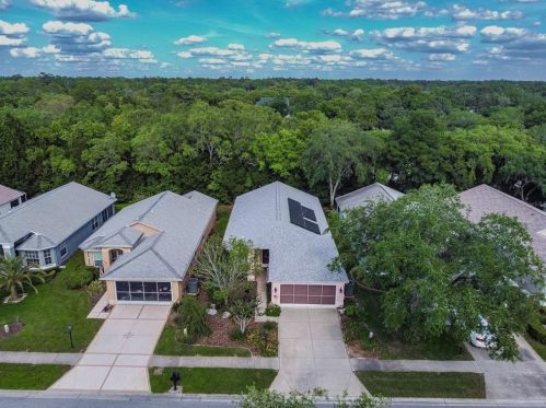 18050 Webster Grove Dr, Port Richey, FL 34667-5594
