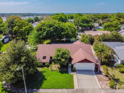 551 Fernshire Dr, Palm Harbor, FL 34683-6022